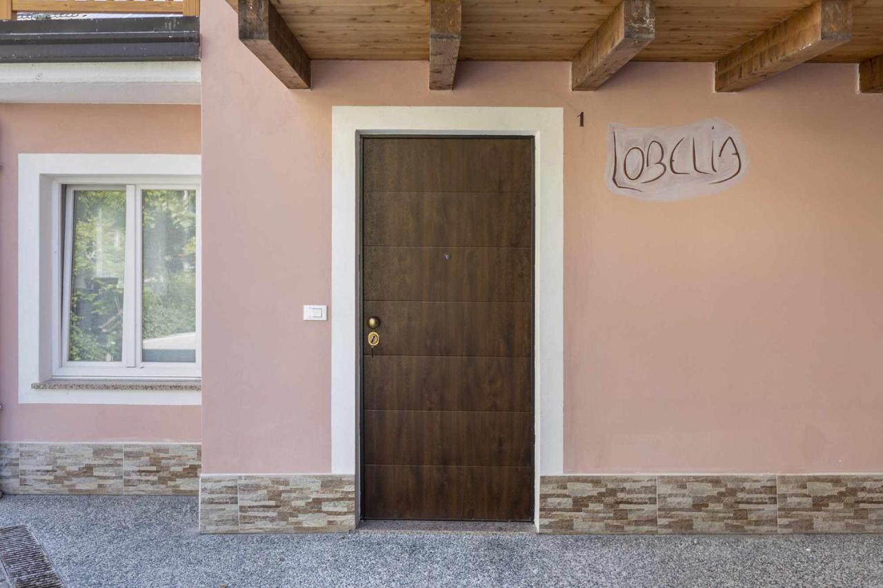 Agritur Horizon Carzano (Trentino) Exterior foto